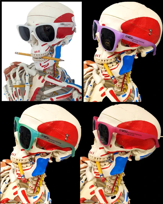 Skeleton head with color changing sunglasses on