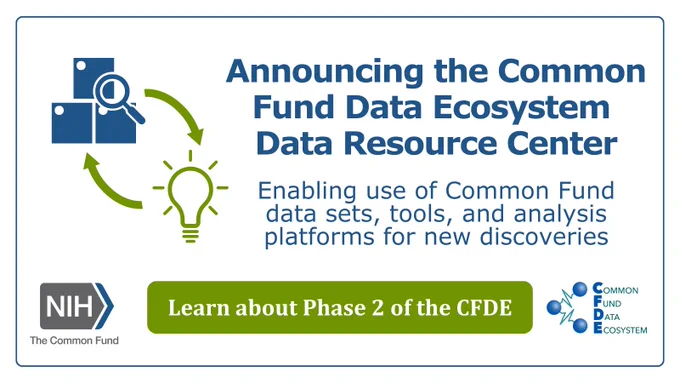 Arrows pointing back and forth between data searches and a lightbulb for ideas. Text reads: Announcing the Common Fund Data Ecosystem Data Resource Center. Enabling the use of Common Fund data sets, tools, and analysis platforms for new discoveries. Learn about Phase 2 of the CFDE