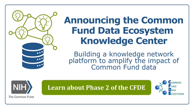 Lightbulbs representing ideas connected in a network of lines above a data stack. Text reads: Announcing the Common Fund Data Ecosystem Knowledge Center. Building a knowledge network platform to amplify the impact of Common Fund data. Learn about Phase 2 of the CFDE.