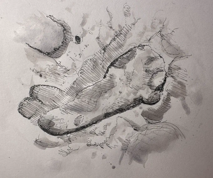 Sketch of a footprint in mud