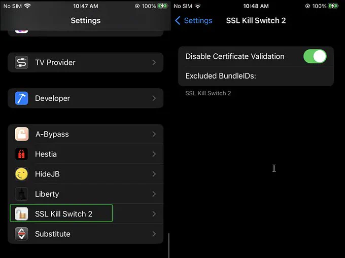 iOS Pentesting Series