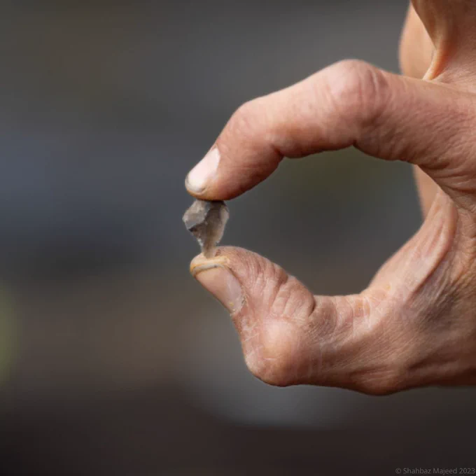 Hand holding up a small stone flake