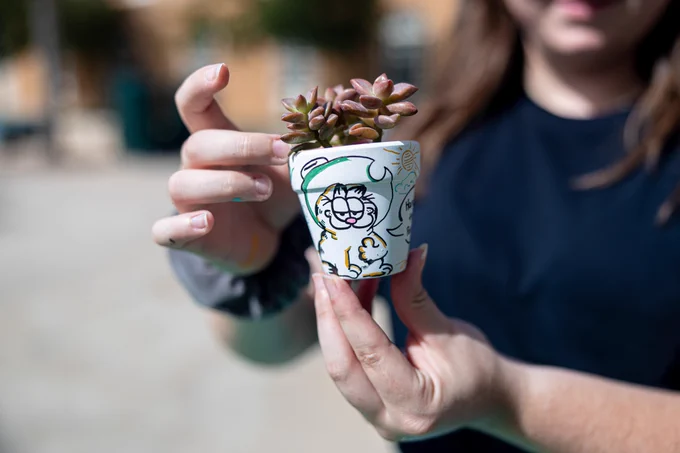 garfield design on the succulent cup