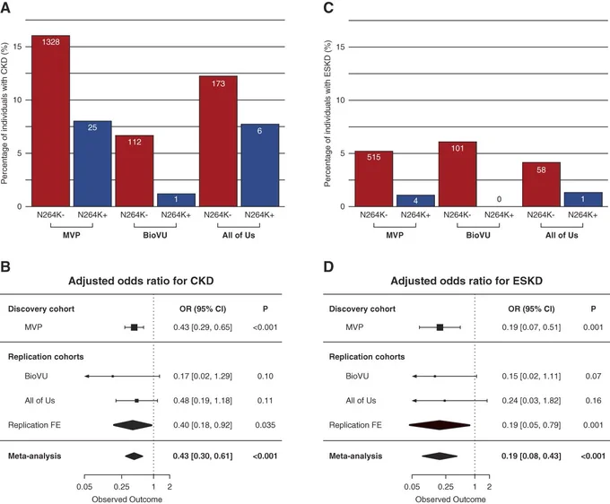 Association of APOL1 HR (homozygous for G1 or G2 or compound heterozygous for G1/G2) with and without p.N264K allele with CKD and ESKD among MVP participants, BioVU and the All of Us. APOL1, apolipoprotein L1; BioVU, Vanderbilt University Biobank; CI, confidence interval; FE, Fixed effect; HR, high risk; MVP, Million Veteran Program; OR, odds ratio.