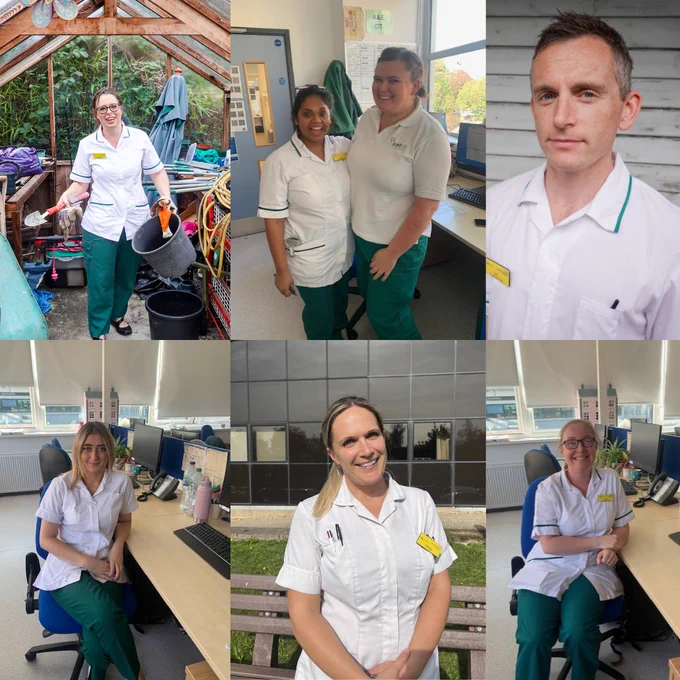 Members of occupational therapy