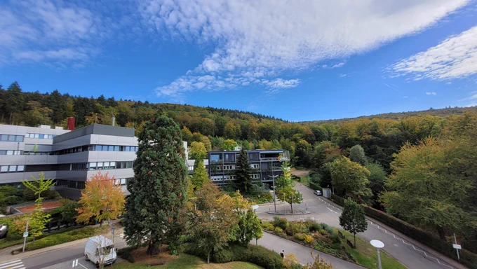 Depicted is a view of a part of the EMBL Heidelberg campus. The sky is blue and there are some clouds above the forest in which the trees are slowly turning from green to yellow and brown.