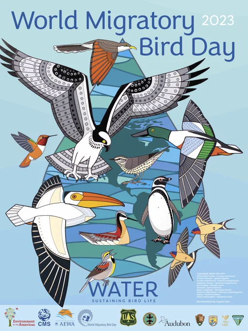 World Migratory Bird Day 2023 poster with 11 different artistic drawings of birds in flight with the word "Water" at the bottom. There are also 11 different logos at the bottom of the poster. 