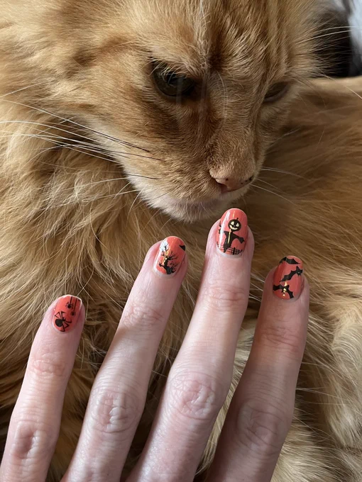 Hallowe’en themed nail art with a series of bats, spiders and pumpkins on bright orange backgrounds, being inspected by a red Maine Coon cat.