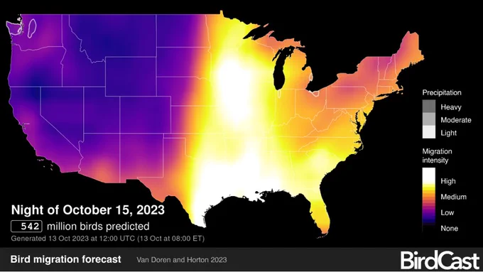 Map of America has heat map coloring to indicate level of migratory birds expected. Purple, reds and oranges dominate the American West to indicate low migration, while the east half of the country is a bright yellow white to indicate high levels. 

Main text reads "Night of October 15, 2023," and "542 million birds predicted." At the bottom is the graphic title, BirdCast, and the subhead 'Bird migration forecast.'