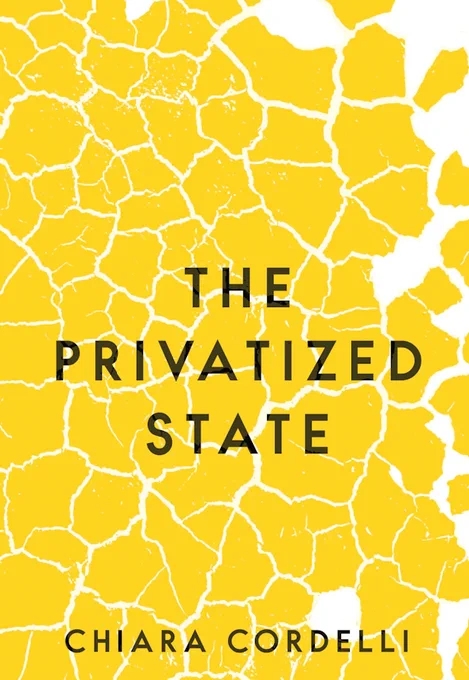 Image: A simple yet striking book cover for The Private State by Chira Cordell, showcasing the title in a black minimalist type against a cracked yellow and white background.