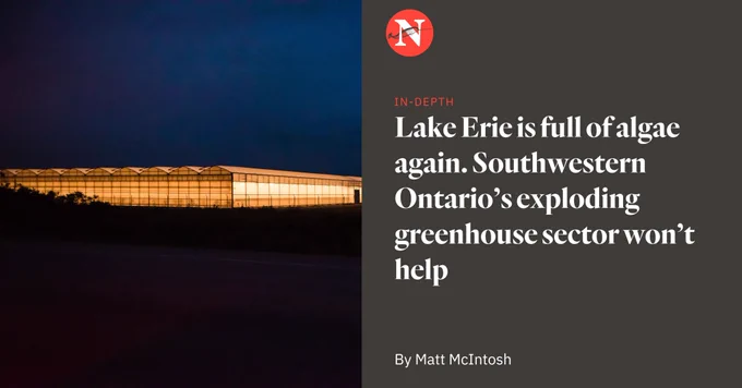 Left: Photo of a greenhouse in the Ontario region of Windsor Essex. On the right, The Narwhal’s logo above a headline: “Lake Erie is full of algae again. Southwestern Ontario’s exploding greenhouse sector won’t help.” Story by Matt McIntosh.