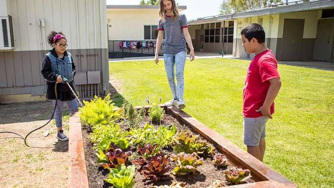 Kids in garden
