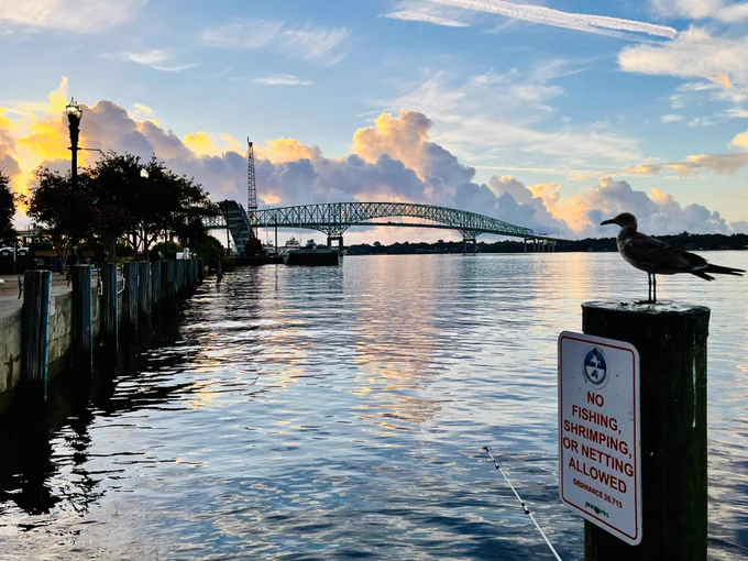 The hart bridge, river, and a bird standing on a piling