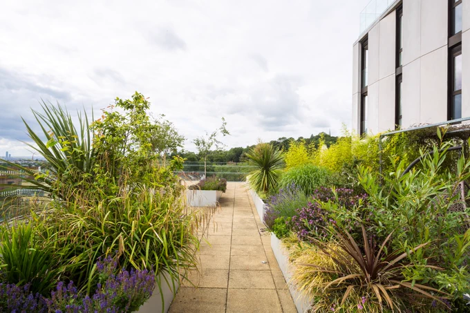 At roof level, a series of communal terraces provide spaces for residents to sit, relax and enjoy the panoramic views across Harrow and Wembley and back towards the city. The terraces are well populated with raised planters and verdant planting, which not only bring a strong green aspect to the urban environment but also help to boost onsite biodiversity and ecology.