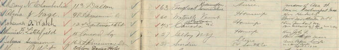Portion of handwritten Women's Voter Register showing entry for Johanna Walsh