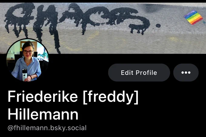 screenshot of my bluesky profile, with my profile name Friederike [freddy] Hillemann and handle @fhillemann.bsky.social