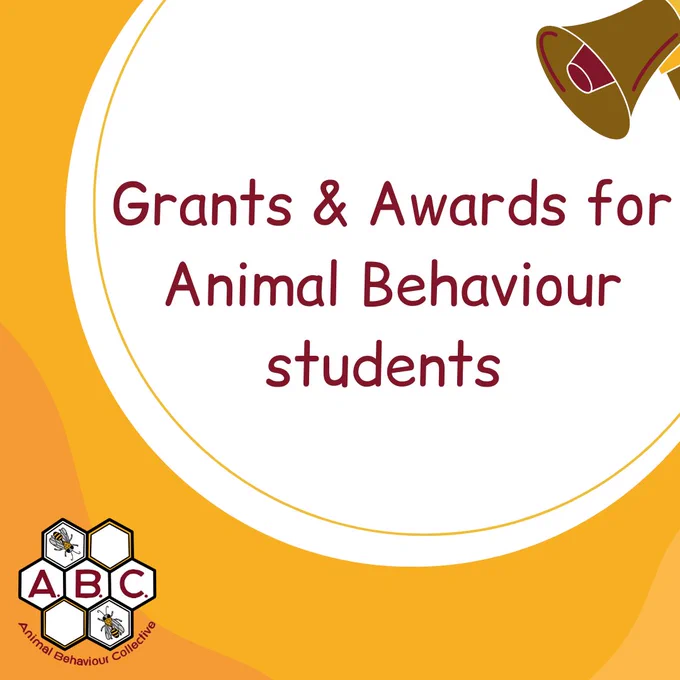 Great news from @ABCmicrogrants ! Our fantastic team members have created an updated list of grants for undergraduate and postgraduate students in animal behaviour! 


⬇️⬇️


https://docs.google.com/spreadsheets/d/1Ra8teU4P0it5KduxbZafM7d9GRm_s0gzZzIkKWUrE50/edit#gid=0