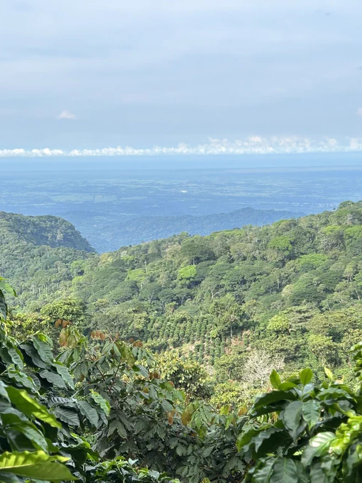 Coffee Agroecology, Mexico