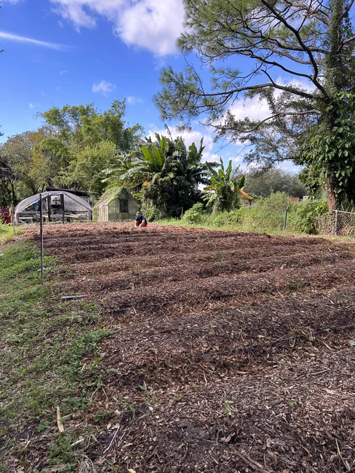 Urban farm in Tampa FL