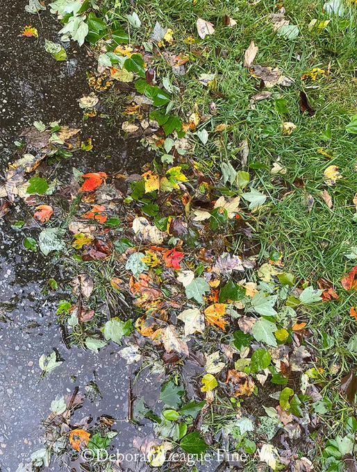 Autumn walk after the rain, photography. Nature paints a glowing portrait as only she can. Fallen leaves, wet with cold rain, glow against the pavement and grass, turning an ordinary scene into a thing of beauty.