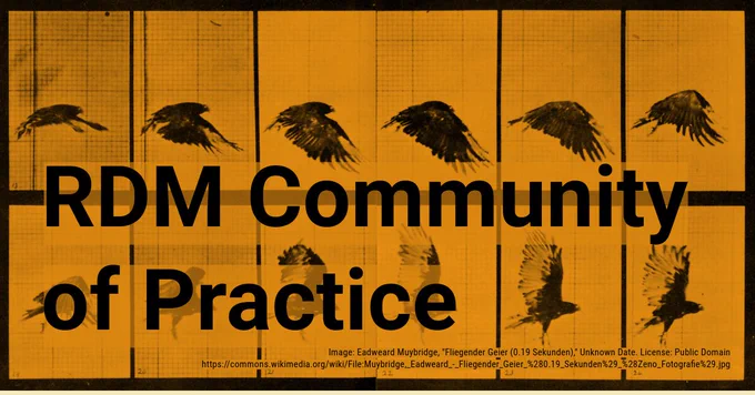 RDM Community of Practice graphic can be seen. Text reads: RDM Community of Practice. Background includes still shots of a bird flapping its wings.