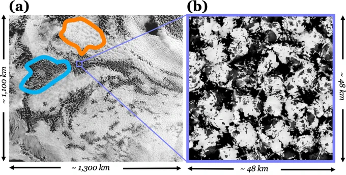 A satellite image of stratocumulus clouds and a contour plot of cloud depth in a large eddy simulation. In both images, white regions represent thick, puffy clouds and dark regions represent the absence of clouds.