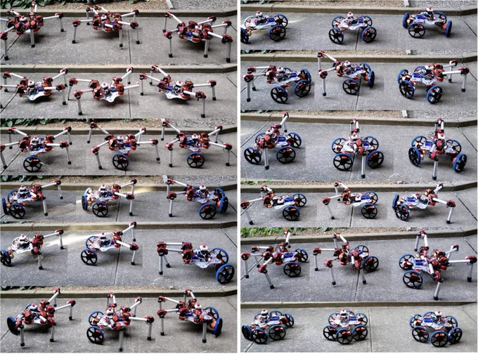 Timelapses of the 12 modular designs controlled with the learned policy. The robots were teleoperated with a joystick demonstrating forward and turn-in-place locomotion on a sidewalk.