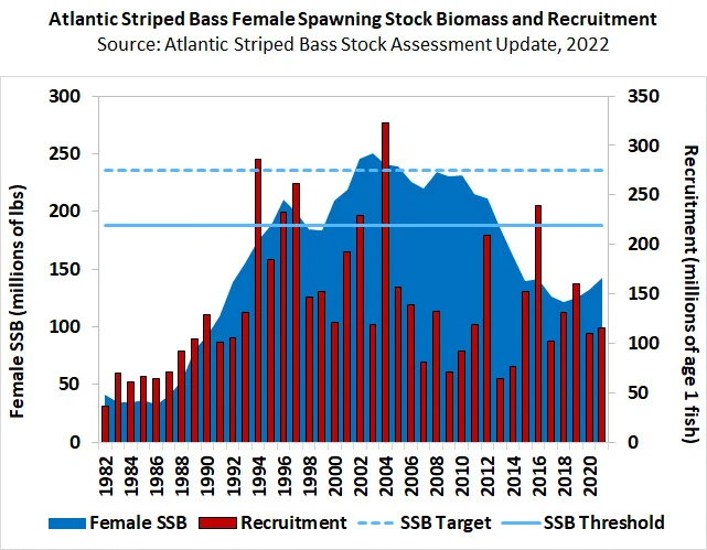 Female spawning stock biomass is a good indicator of the adult population of spawning striped bass at a given time. The size of the breeding population does not necessarily align with the recruitment class of juvenile fish. Atlantic States Marine Fisheries Commission.