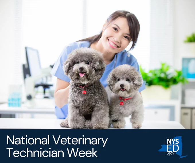 National Veterinary Technician Week