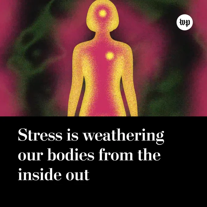 Headline reads: “Stress is weathering our bodies from the inside out.”