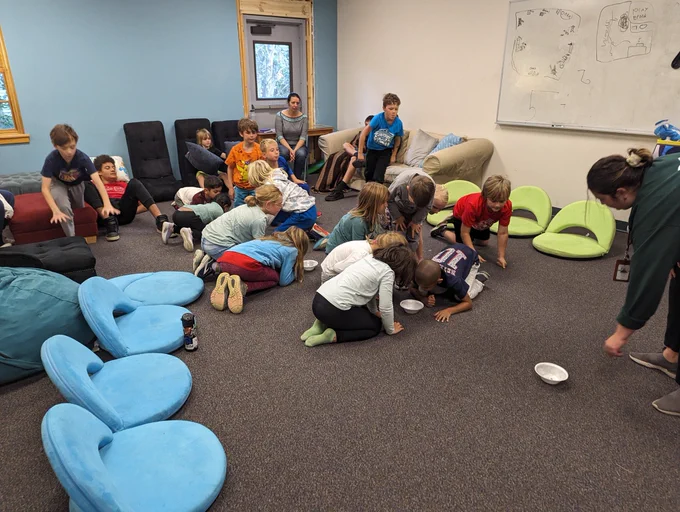 Franklin Park Conservatory comes to Acton Academy Columbus (Dublin, OH) to teach learners about Entomology 