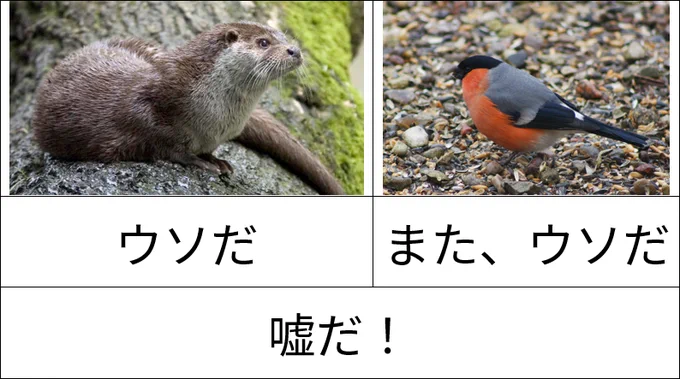 （カワウソ）ウソだ
（鷽）また、ウソだ
嘘だ！