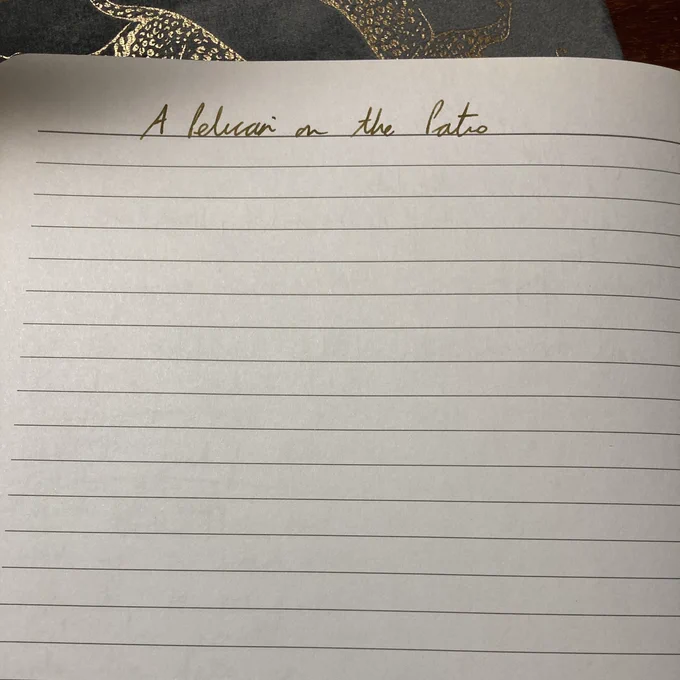 Sue’s writing journal has a single line written at the top of the page. It reads, ‘A pelican on the patio’.