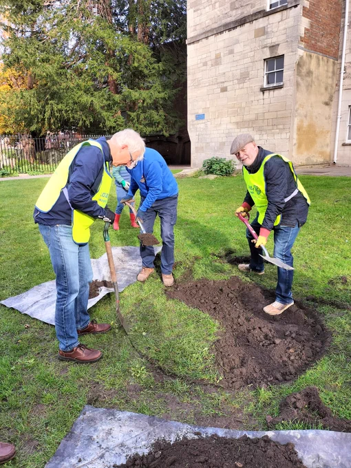 Great work today by RotaryatKingsholm Gloucester and volunteers. Adding a splash of spring purple to Gloucester.

Led by Bryan "green fingers" Bamber, and assisted by some super little helpers, they planted 1,000 crocus corms in a grassed area between Greyfriars and the rear entrance to Gloucester market. This was done with the agreement of Gloucester City Council and we should see them appear next spring and every year thereafter. Bringing some vibrant colour to the area.

Rotary clubs help to plant millions of purple crocuses every year to raise awareness for efforts to end polio, and we are doing very well!

Rotary has helped reduce the number of wild poliovirus cases per year by 99.9%, with 2023 seeing only 8 cases of polio recorded.

The crocus species is crocus tommasinianus (Ruby Giant) for those who may be interested.