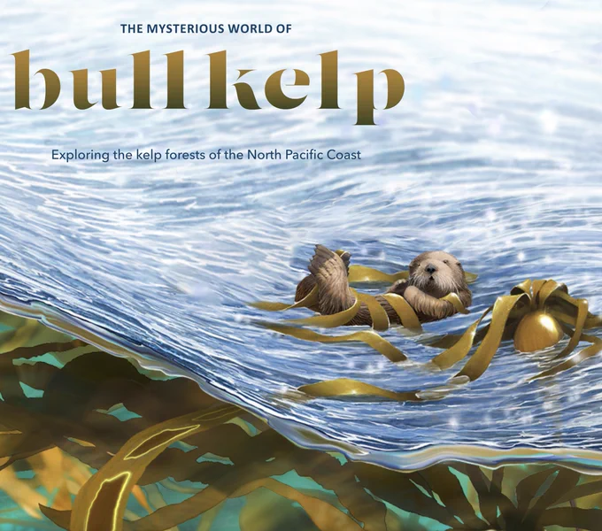 Illustration of an otter swimming in a kelp bed. Text says, The Mysterious World of Bull Kelp: Exploring the kelp forests of the North Pacific Coast.