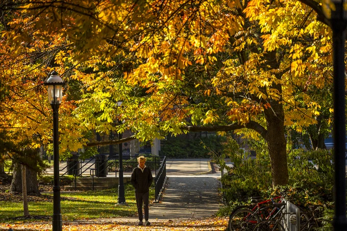 A student walks on a path below fall-colored trees. 