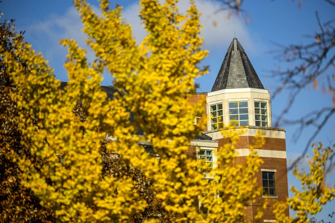 Mizzou's Cornell Hall spire behind a tree with golden fall leaves. 