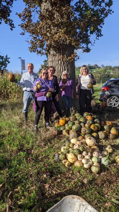 Five volunteers pose with pumpkins beside an oak tree and a pile of pumpkins on a sunny day.
