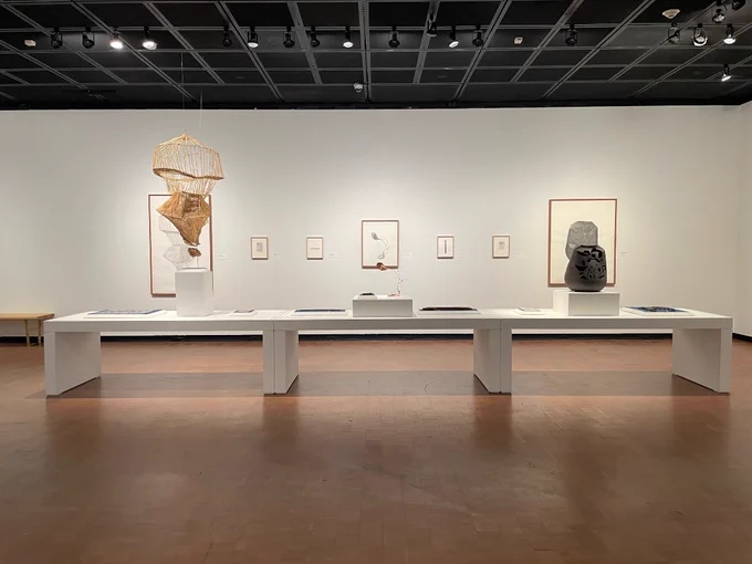 An installation of Fowler labels and storage finds and created imaginings of their reconstructions