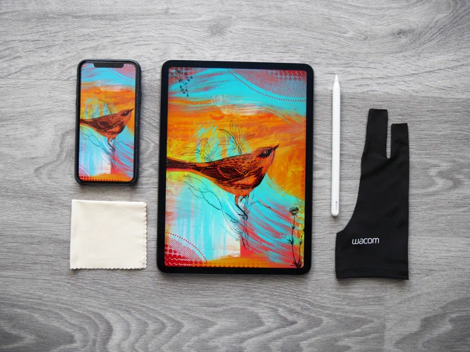 iPad tool and accessory kit
