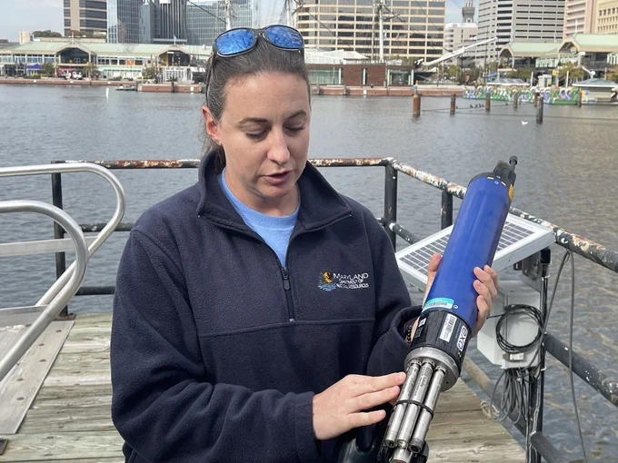 Staff prepare to deploy a sonde, which takes readings every 15 minutes and is monitored by DNR staff. A sonde is a computer and a power supply that can be submerged, and has a wide variety of sensors attached to it to measure different water quality parameters.
