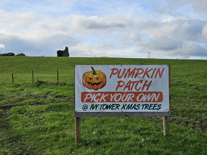 A sign that reads " Pumpkin patch, Pick Your own @Ivy Tower Xmas Trees"