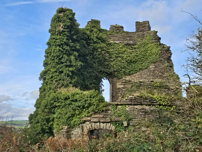 Ivy tower, Neath