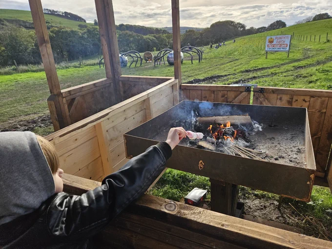 A child toasting marshmallows at a pumpkin patch.