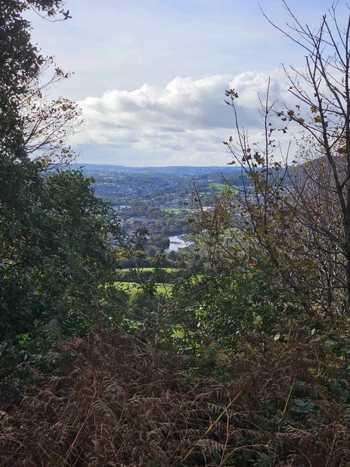 View of the River Neath from the Ivy Tower.