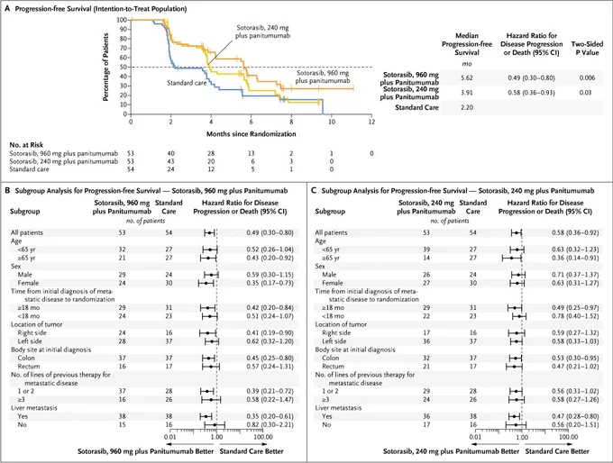 Progression-free Survival as Assessed by Blinded Independent Central Review (Intention-to-Treat Population)