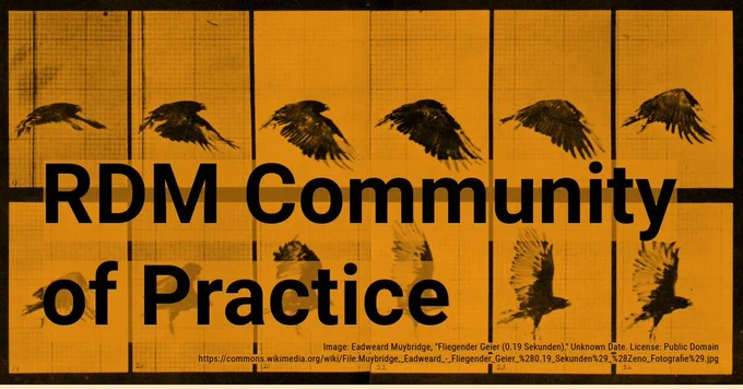 RDM Community of Practice graphic can be seen. Text reads: RDM Community of Practice. Background includes still shots of a bird flapping its wings.