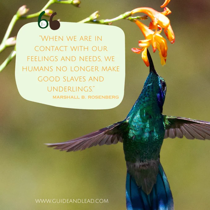 Apicture of a hummingbird feeding of a flower in flight and a quote “When we are in contact with our feelings and needs, we humans no longer make good slaves and underlings.”
― Marshall B. Rosenberg