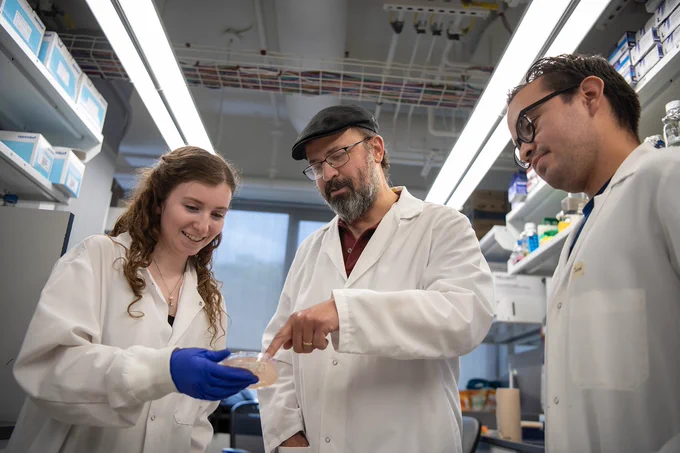 Three researchers in lab coats discussing contents of Petri dish in lab