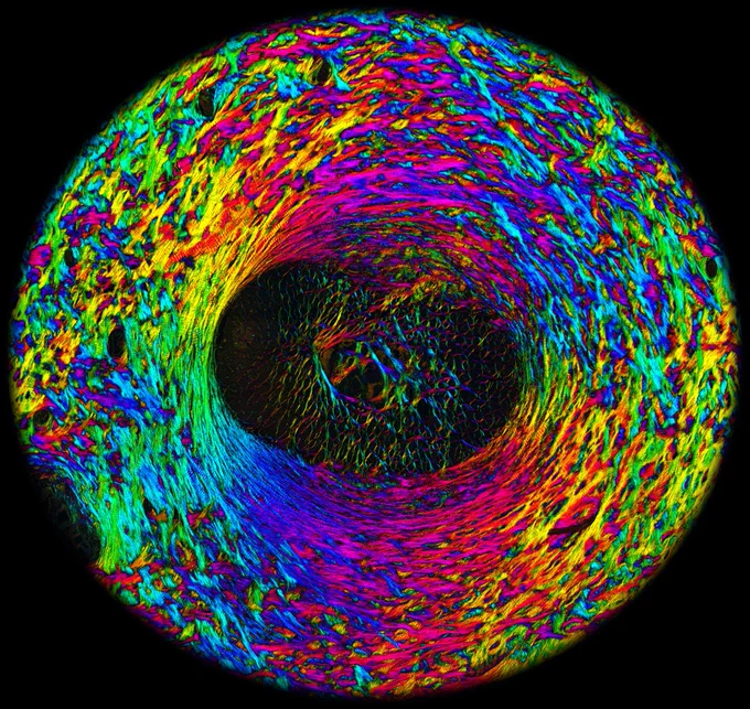 A coronal section of a pig optic nerve head imaged by instant polarized light microscopy pi (IPOLπ). IPOLπ presents collagen fiber orientation and density in a color snapshot, with no need for labels, stains, or multiple image reconstruction. This color snapshot unveils the intricate collagen architecture within the optic nerve head, shedding light on the critical role of collagen in understanding ocular biomechanics.